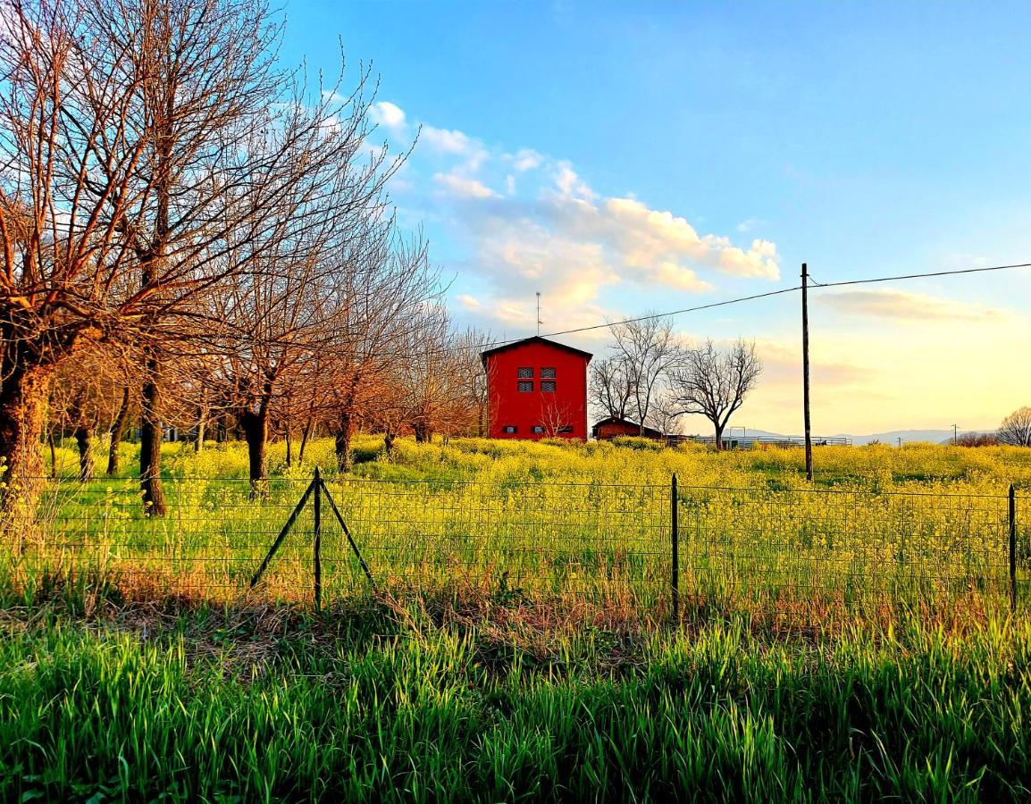 Agriturismo Azienda Agricola Ferrari M.Rita Pozza Екстериор снимка