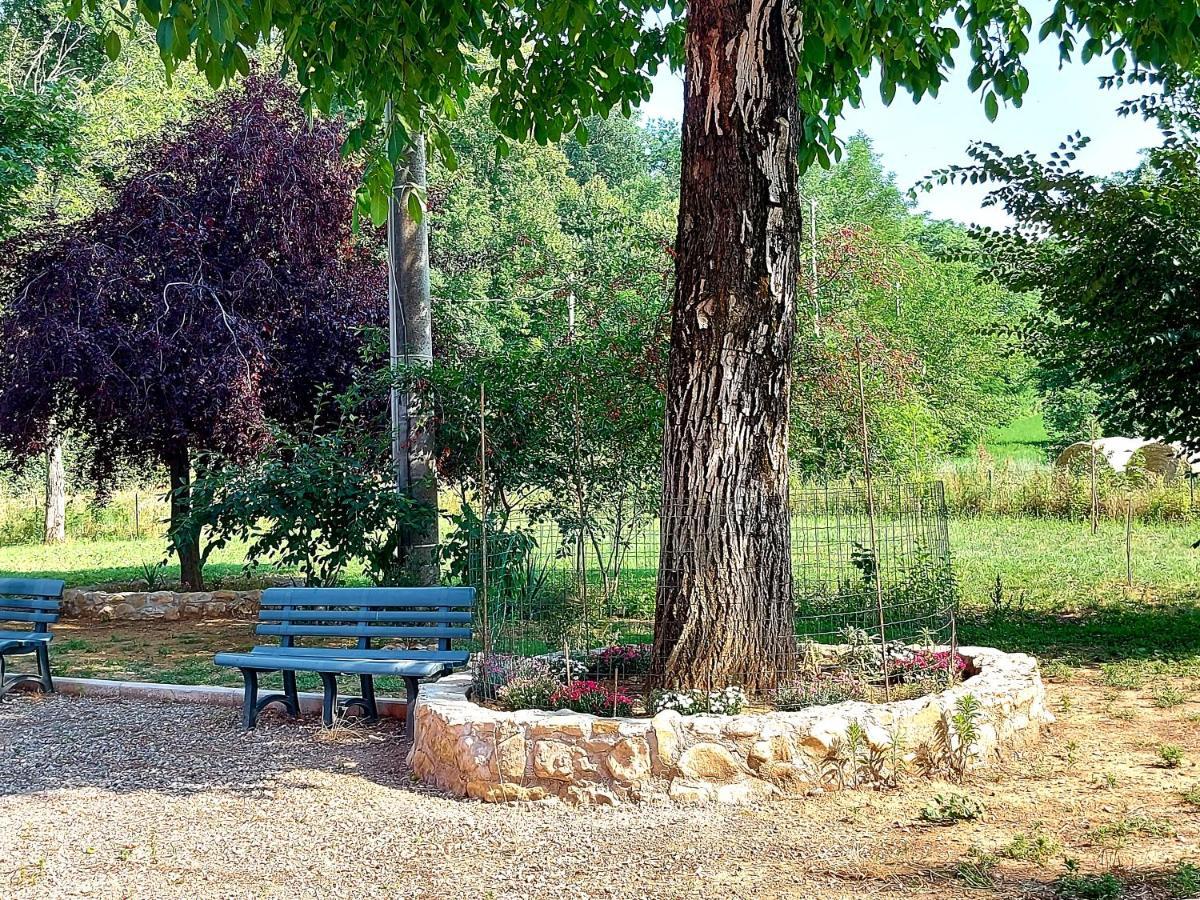 Agriturismo Azienda Agricola Ferrari M.Rita Pozza Екстериор снимка