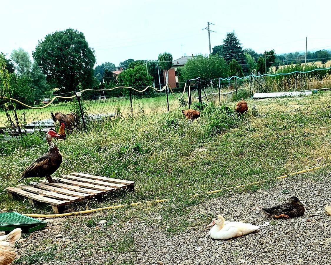 Agriturismo Azienda Agricola Ferrari M.Rita Pozza Екстериор снимка